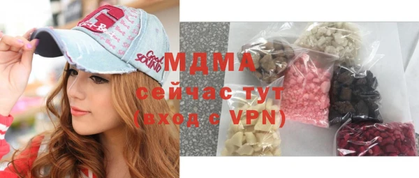 индика Гусь-Хрустальный