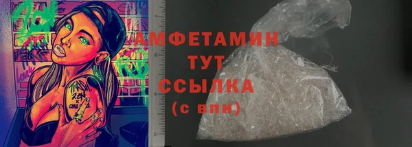 индика Гусь-Хрустальный