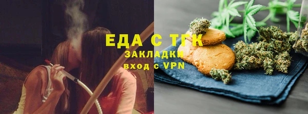 индика Гусь-Хрустальный