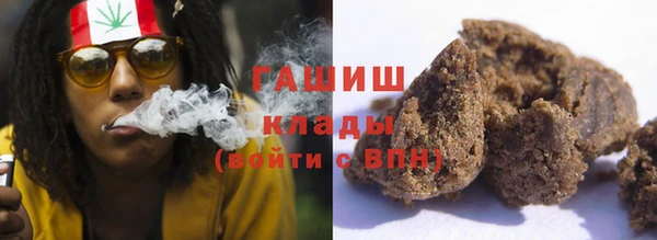 индика Гусь-Хрустальный
