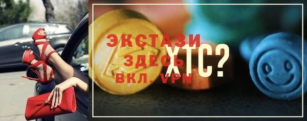 индика Гусь-Хрустальный