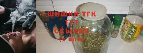индика Гусь-Хрустальный