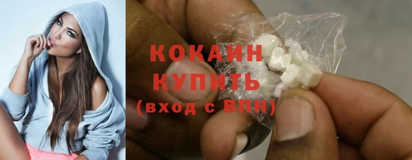 индика Гусь-Хрустальный