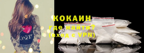 индика Гусь-Хрустальный