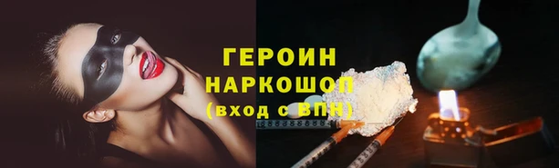 индика Гусь-Хрустальный