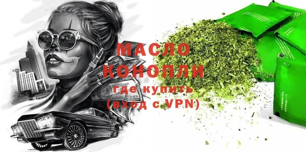 индика Гусь-Хрустальный