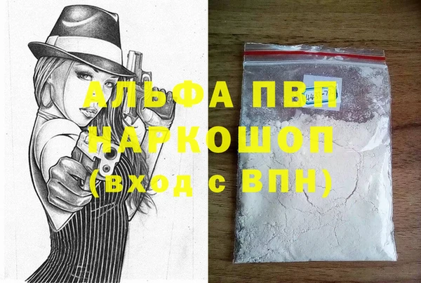 индика Гусь-Хрустальный