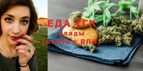 индика Гусь-Хрустальный