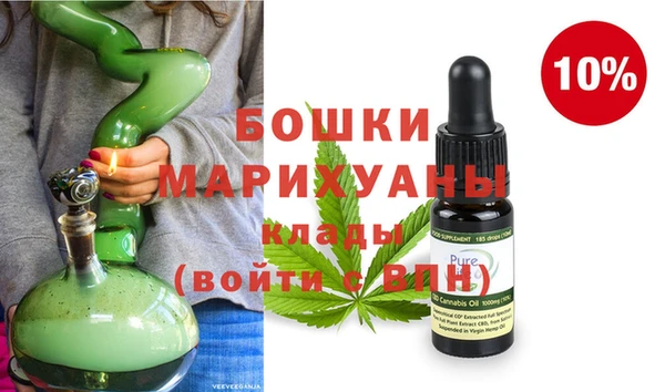 индика Гусь-Хрустальный