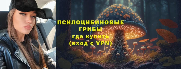 каннабис Гусиноозёрск