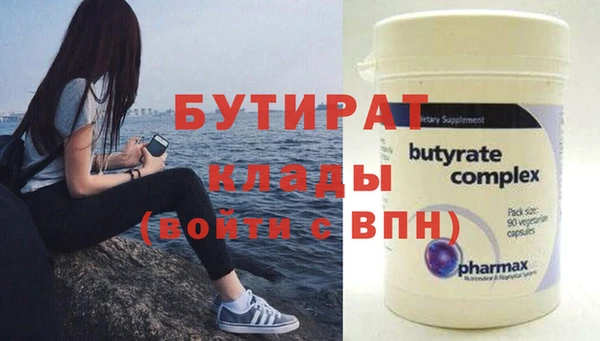 индика Гусь-Хрустальный