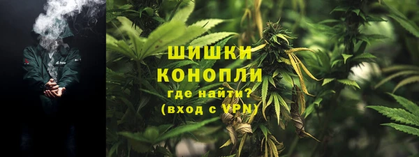индика Гусь-Хрустальный