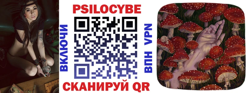 Купить где Мирный Псилоцибиновые грибы Psilocybine cubensis